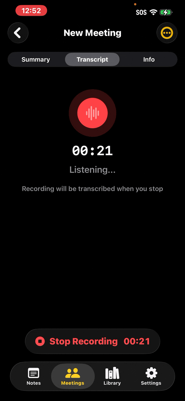 Meeting recording and transcription demo